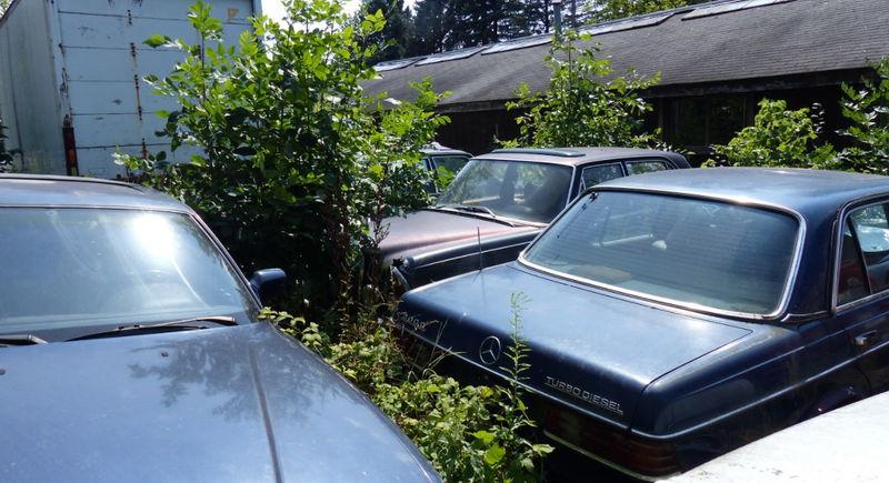 Illustration for article titled A Michigan Town Is Forcing This Man To Sell 20 Old Cars Off His Property Every Month